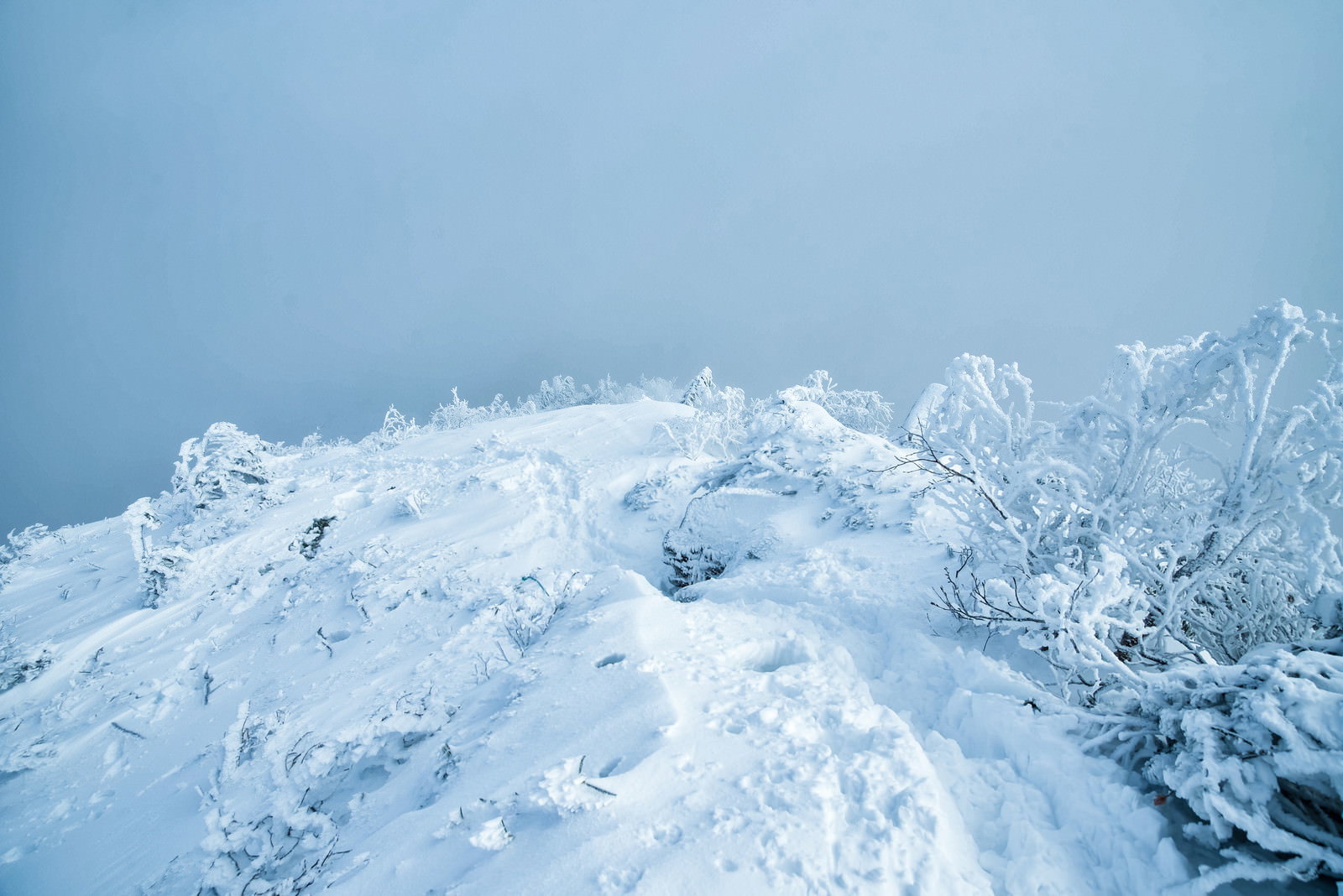 雪に覆われた登山道の斜面に残る登山者の足跡