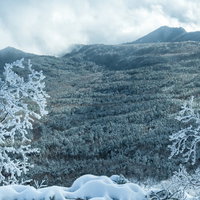 雪化粧した森に付着した樹氷と霧氷の冬景色の写真