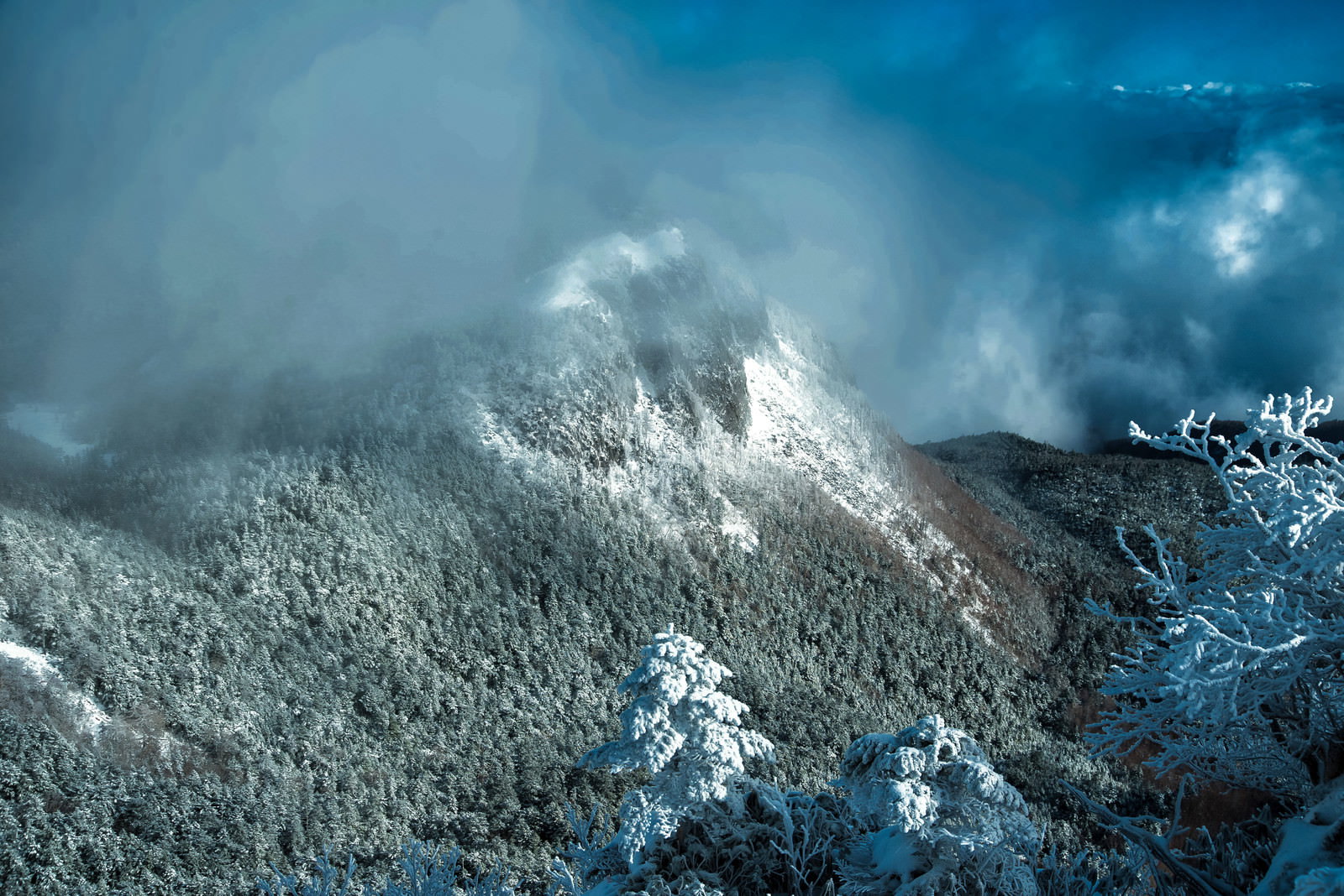 霧に包まれ雪化粧した稲子岳の冬景色、樹氷と白銀の山肌