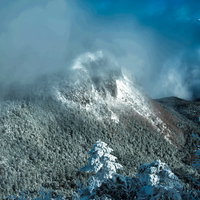 霧に包まれる雪化粧の稲子岳の樹氷と積雪の写真
