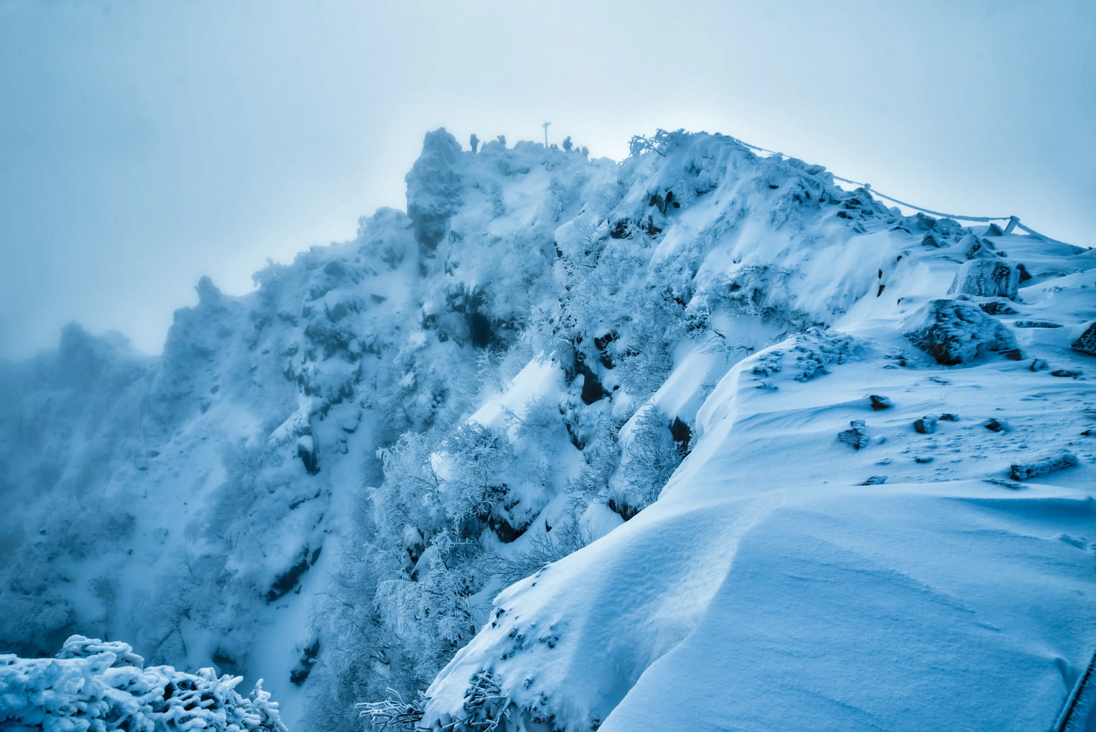 霧に包まれた雪化粧の東天狗岳山頂の岩稜