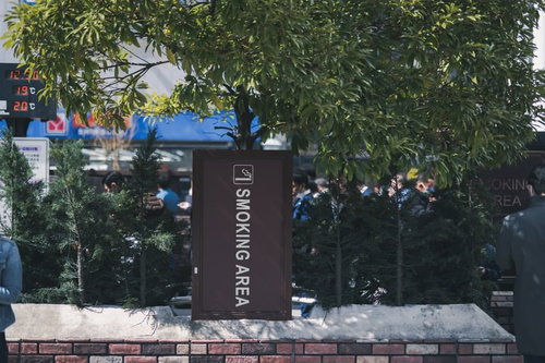 緑の植物を背景にした喫煙所のSMOKING AREA標識