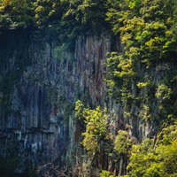 切り立った断崖の上に群生する木々と自然の地形の写真