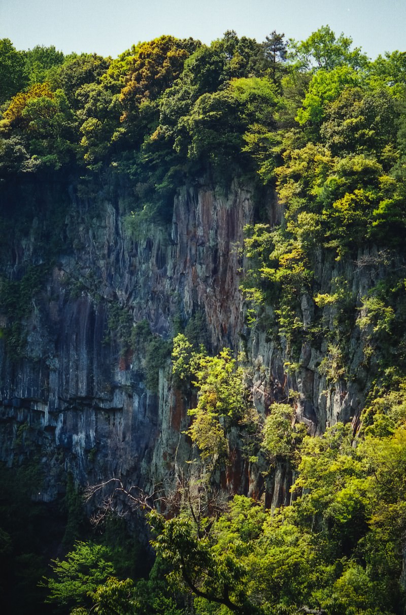 切り立った岩壁の上に緑の木々が茂る断崖の風景