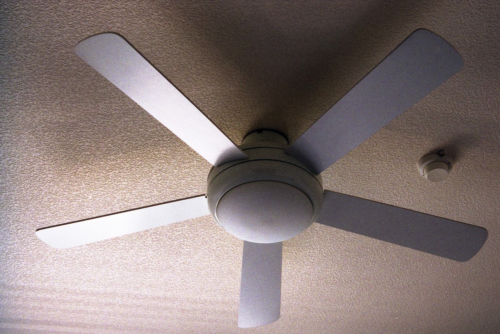A white five-blade ceiling fan mounted on the ceiling