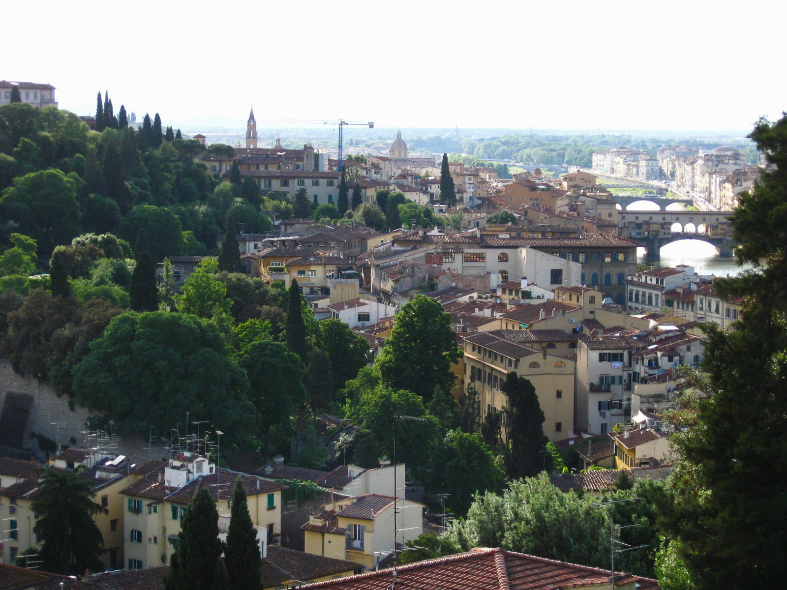 緑の木々に囲まれたイタリア・フィレンツェの歴史的な街並み