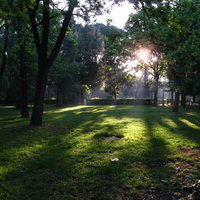 ローマのボルゲーゼ公園で木々の間から差し込む日差しと芝生の影の写真