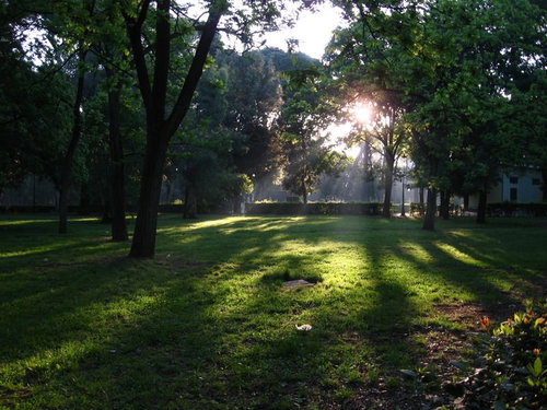 ローマのボルゲーゼ公園で木々の間から差し込む日差しと芝生の影