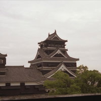 緑の木々越しに遠景で見える熊本城の天守閣と石垣の写真