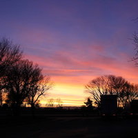 夕暮れの空に浮かぶ裸の木々と街灯のシルエットの写真
