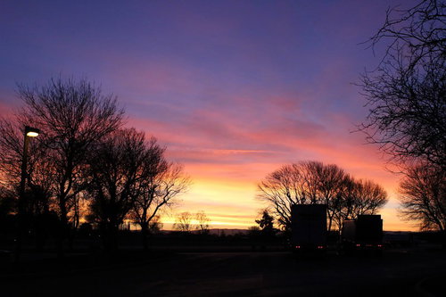 夕暮れの空に浮かぶ裸の木々と街灯のシルエット