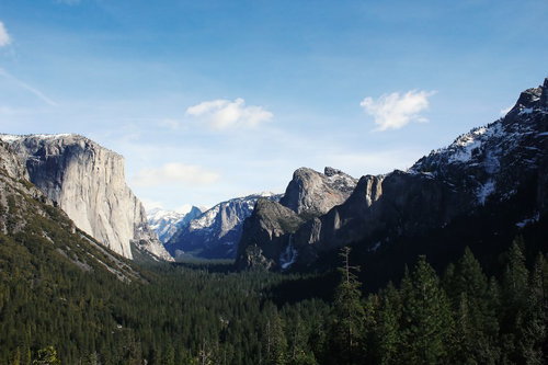 岩山と針葉樹の森が広がるヨセミテ国立公園
