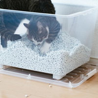 猫砂で荒ぶる黒白の猫がトイレで遊ぶ様子の写真