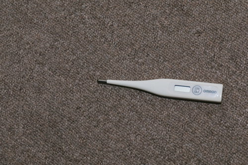 床に落ちた白い体温計