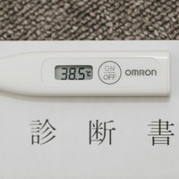 「本日おやすみします」と写真付きのメールが送られてきたの写真