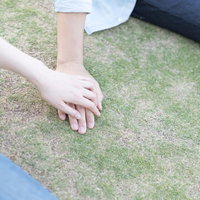 芝生の上で彼の手に手を重ねるラブラブなカップルの愛情表現の写真