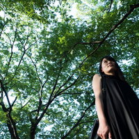 木漏れ日の中で上を見上げる高身長の女性の仰ぎ見る姿の写真