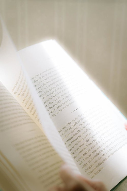 洋書のページを指でめくる手元、英語学習の教材