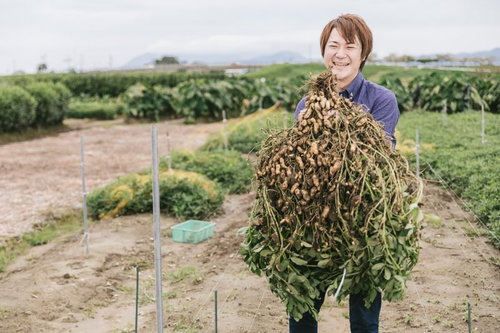 こんなに大きい落花生が採れました！