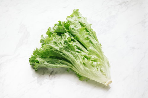 外側をむしったレタスの芯の写真、新鮮な断面の食材