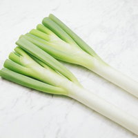 白い部分が明白なネギ（葱）の新鮮な食材、複数本の長ネギの写真