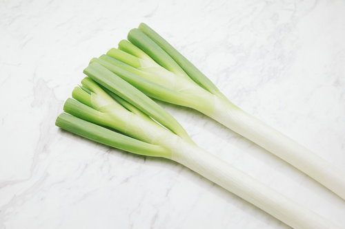 白い部分が明白なネギ（葱）の新鮮な食材、複数本の長ネギ