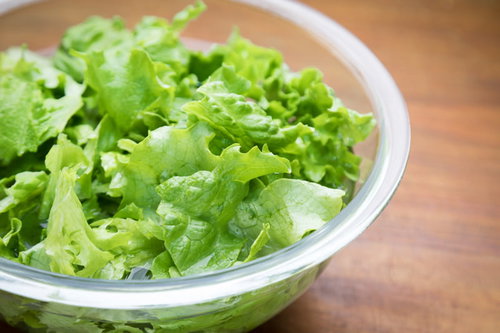 サラダ用にグリーンレタスをまるごと1玉、白いボウルに盛られた