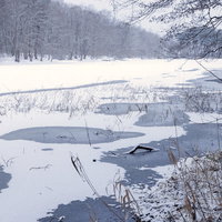猪苗代湖の入江に積もる雪と冬の湖畔風景の写真