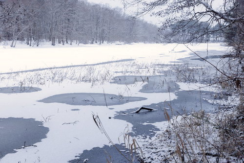 猪苗代湖の入江に積もる雪と冬の湖畔風景