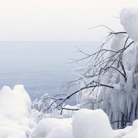 しぶき氷と氷漬けの枝越しに望む猪苗代湖の冬景色の写真