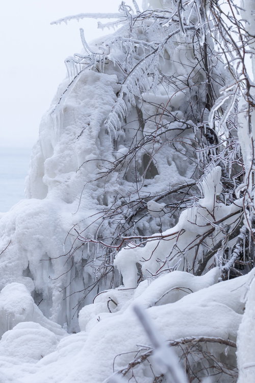 猪苗代湖の湖岸に発生した飛沫氷とつらら、樹氷の厳冬風景