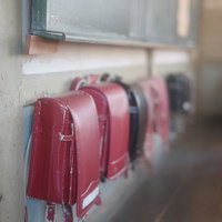 教室の窓辺に並ぶランドセルから溢れ出す小学校の思い出の写真