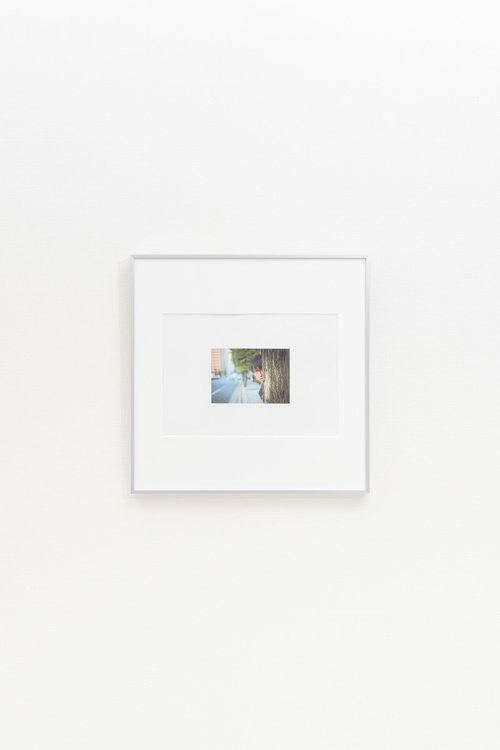 木陰から見守ってくれる彼の思い出を飾る額縁