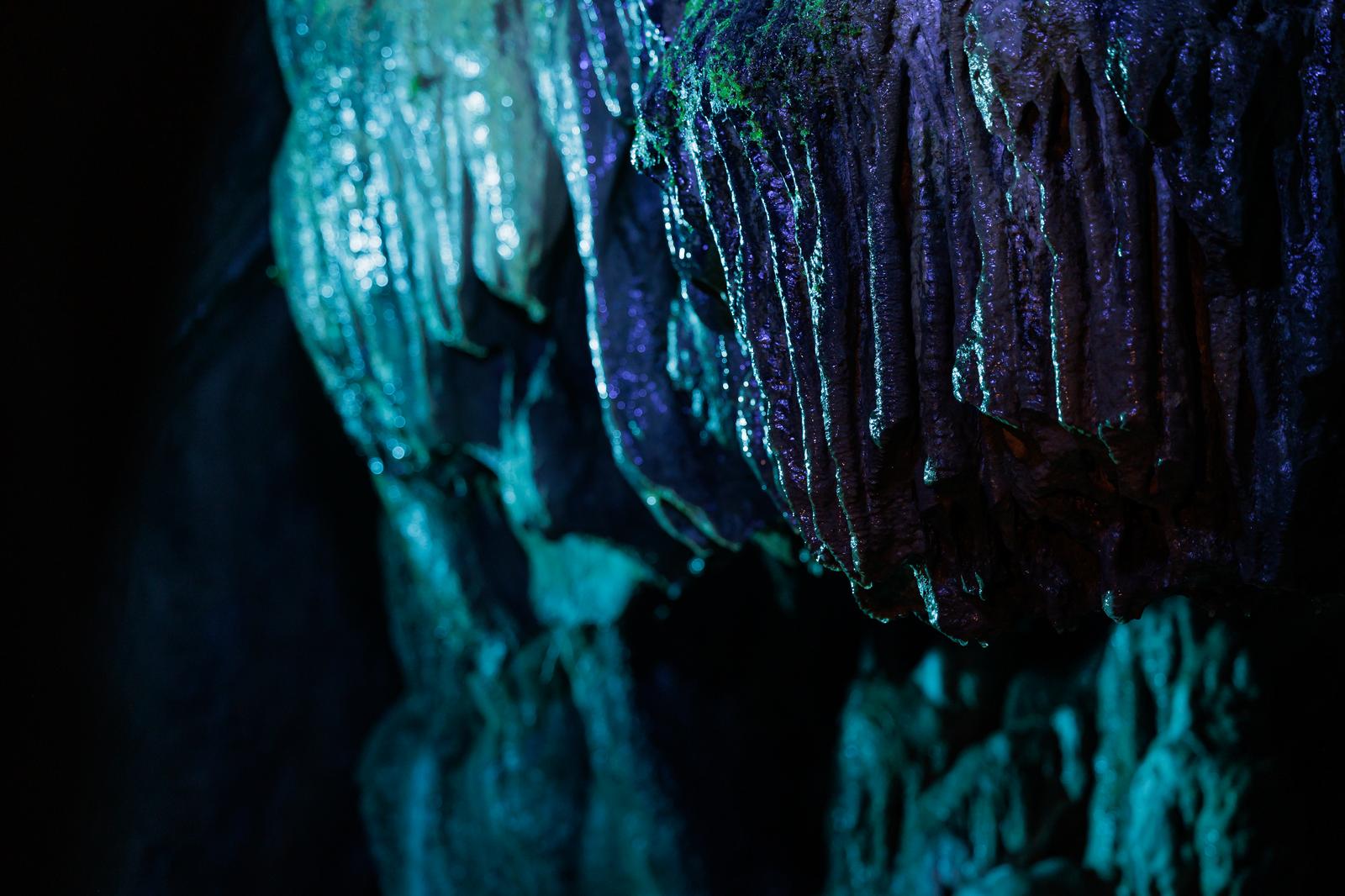 小さな苔が生える鍾乳石