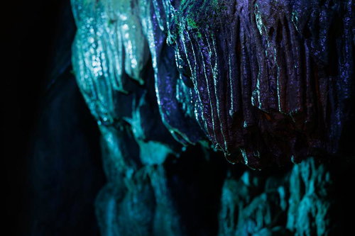小さな苔が生える鍾乳石と青白く光る洞窟壁