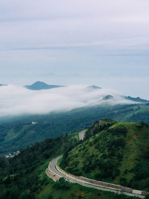 万座高原の流れるような雲海と山道を彩る朝霧の風景