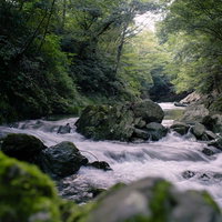 御荷鉾緑色岩が流れる三波渓谷の渓流と岩肌の写真