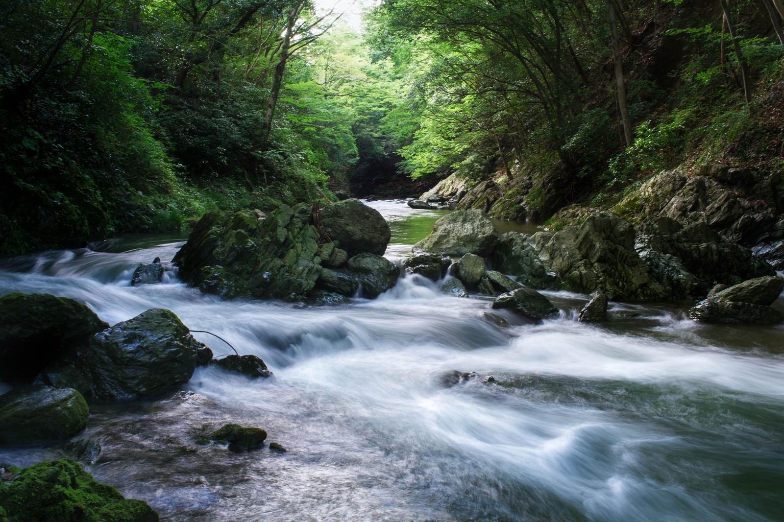 埼玉県の三波渓谷を流れる渓流と緑豊かな森林の風景