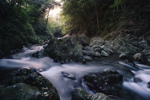 三波渓谷の岩間を流れる清流と緑の森、御荷鉾緑色岩
