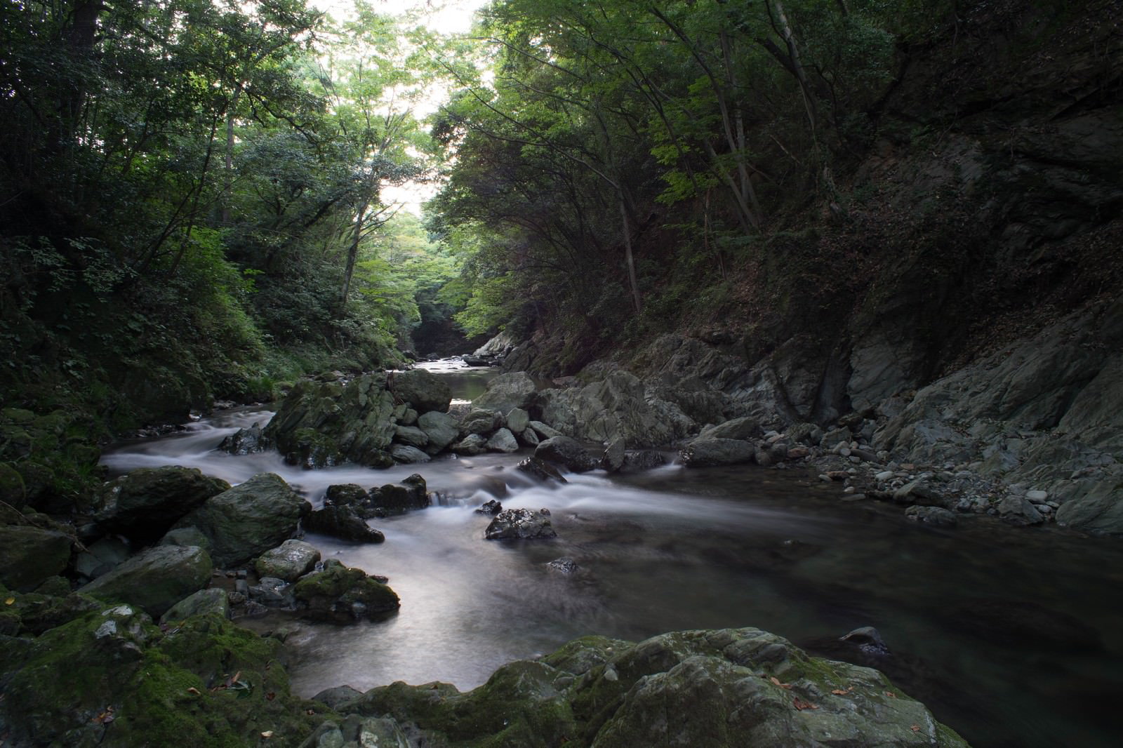 緑の森に囲まれた三波渓谷の渓流と岩々