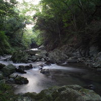 三波渓谷の渓流が流れる上流の静けさと清らかな水音の写真