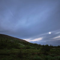 草津白根山の夏・ワタスゲと露の写真
