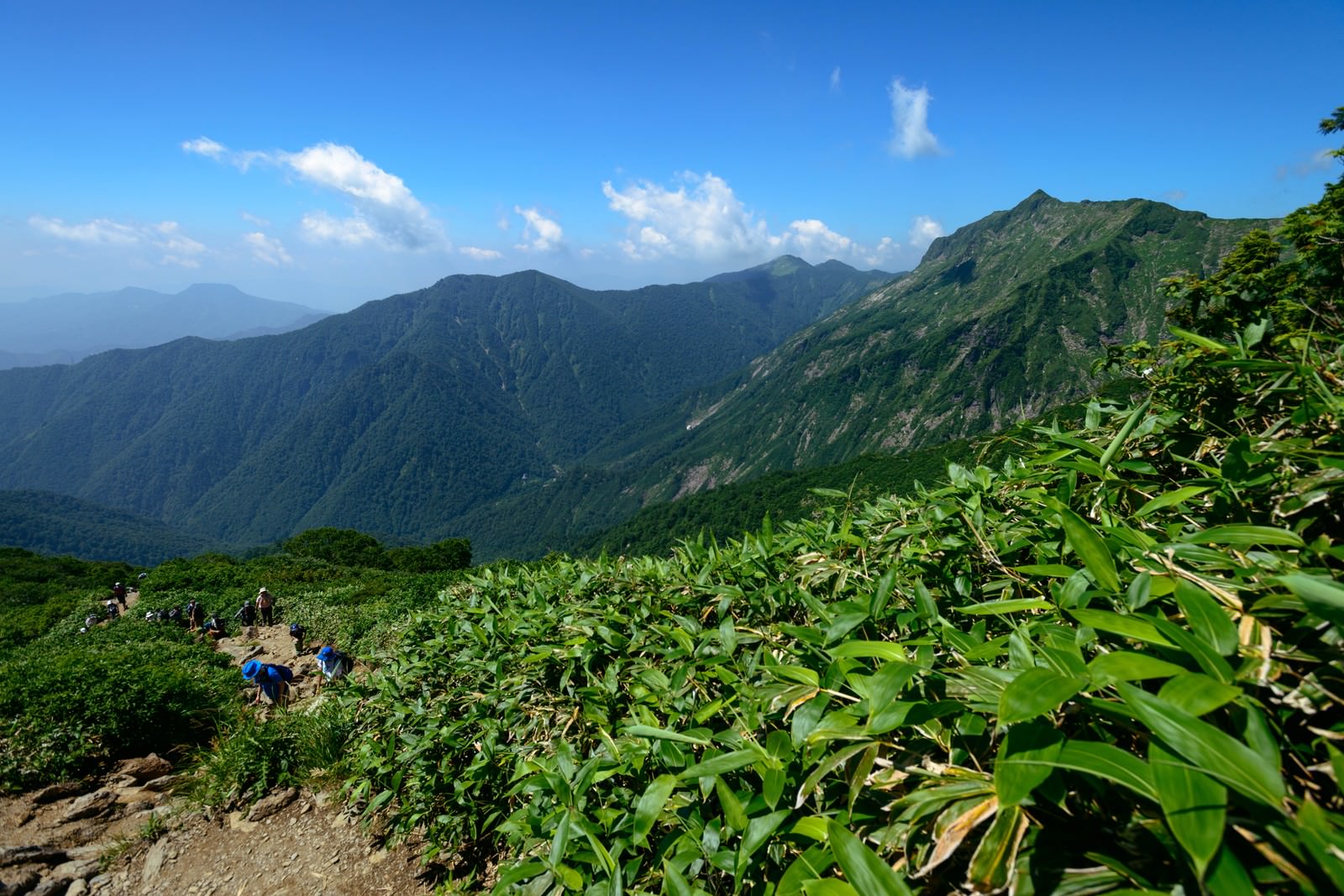 青空の下、緑豊かな山々の稜線にある登山道を歩く登山者