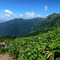 関東と北陸を隔てる稜線の登山道を歩く登山者の写真
