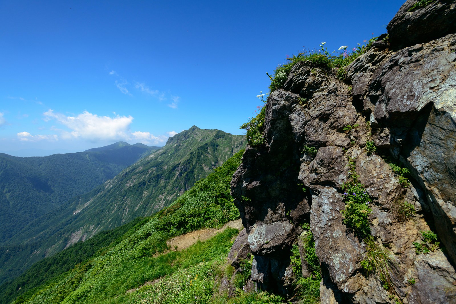 険しい岩壁の斜面に咲く高山植物と青空が広がる山の風景
