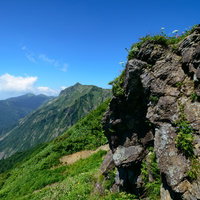 岩肌にひっそりと咲く高山植物と青空の山並みの写真