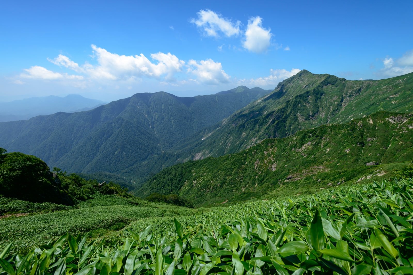 谷川連峰から見下ろす緑豊かな山々と青空のパノラマ風景