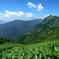 谷川連峰の登山道から望む大パノラマ 青空と山々の写真