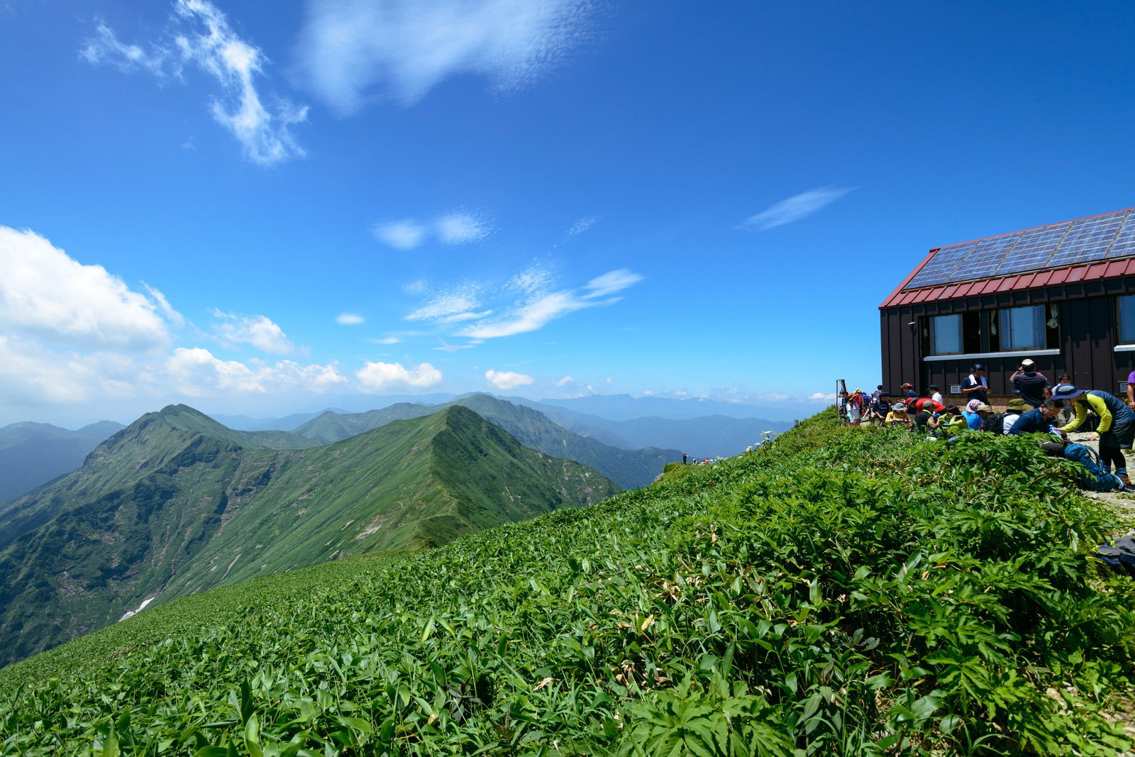 青空の下、緑のクマザサに覆われた谷川岳主脈と赤い屋根の山小屋