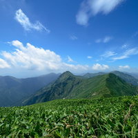 延々と続くクマザサの稜線と山峰を彩る登山道の風景の写真